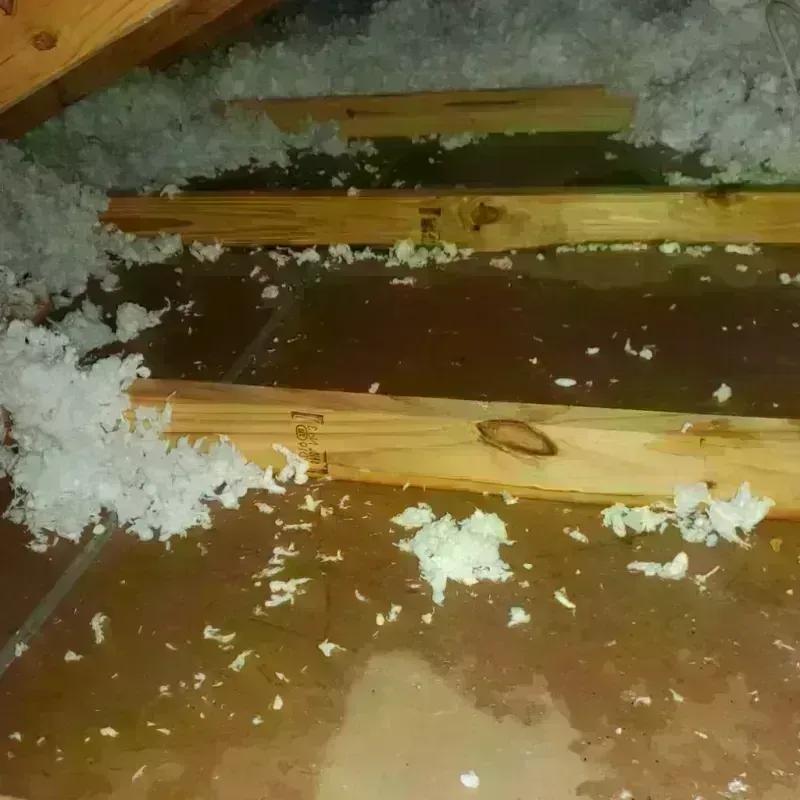 Attic Water Damage in Henderson, TN