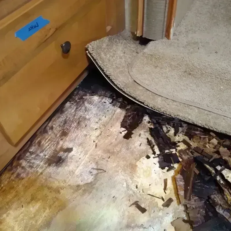 Wood Floor Water Damage in Henderson, TN